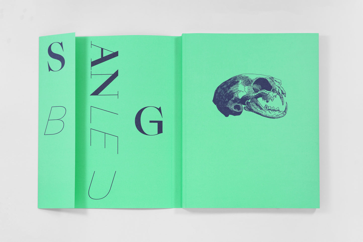 Type Monographs Pack